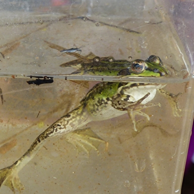 Les sentiers de l'Arche de la biodiversité