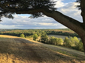 Randonnée au Château de Dumphlun - BILLY-CHEVANNES