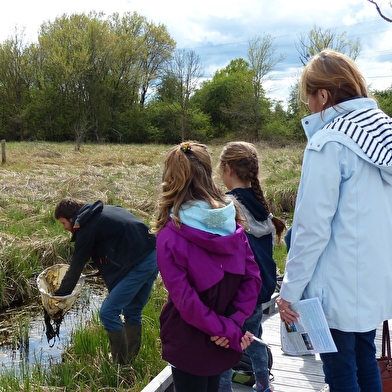 Les sentiers de l'Arche de la biodiversité