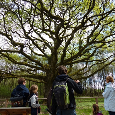Les sentiers de l'Arche de la biodiversité