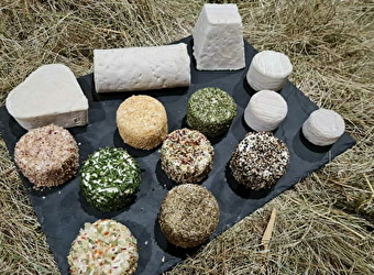 Chèvrerie de Chantolle - POUGUES-LES-EAUX