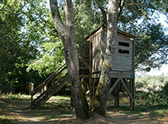 Balade famille : Sentier de découverte du Passeur du Bec d'Allier - GIMOUILLE