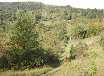 Sentier de la nature du Coteau du Chaumois à Parigny-les-Vaux -