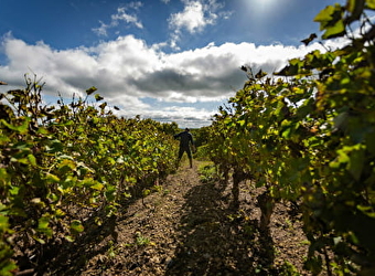 Domaine de Poulanges - PARIGNY-LES-VAUX